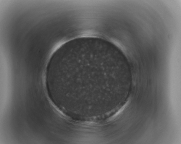 X0000111641463200907241101