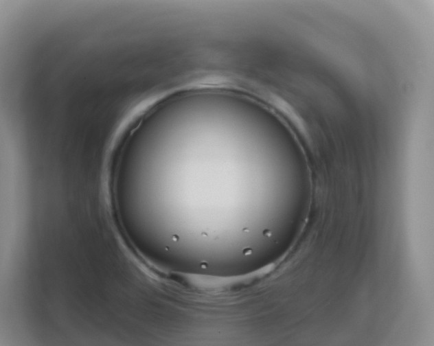 X0000111641464200907241101