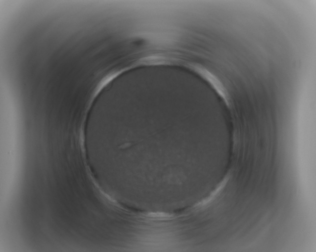 X0000111641465200907241101