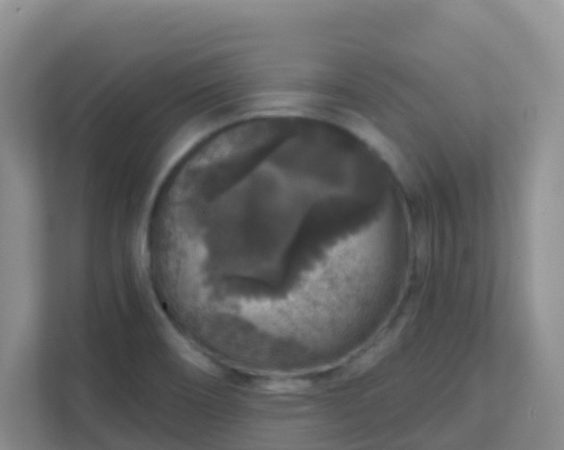 X0000111641466200907241101