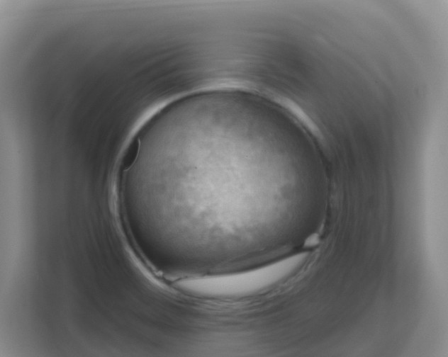 X0000111641468200907241101