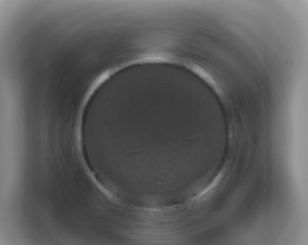 X0000111641469200907241101