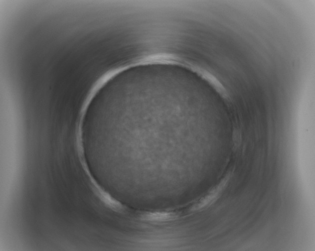 X0000111641470200907241101