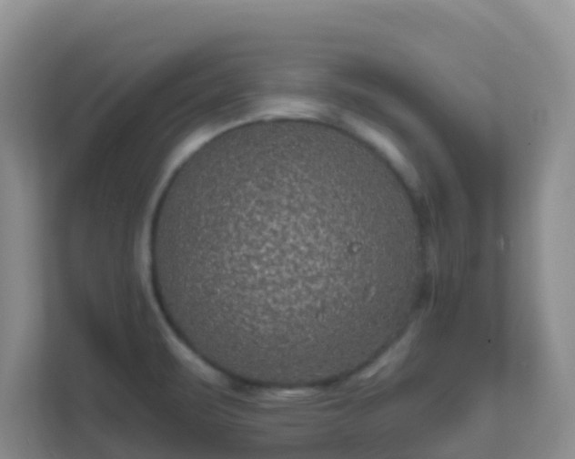 X0000111641471200907241101