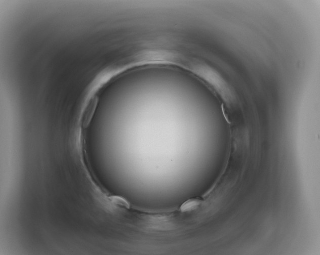 X0000111641472200907241101