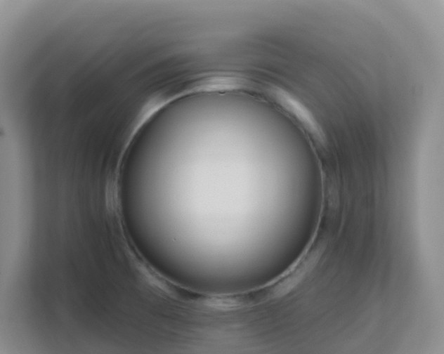 X0000111641473200907241101