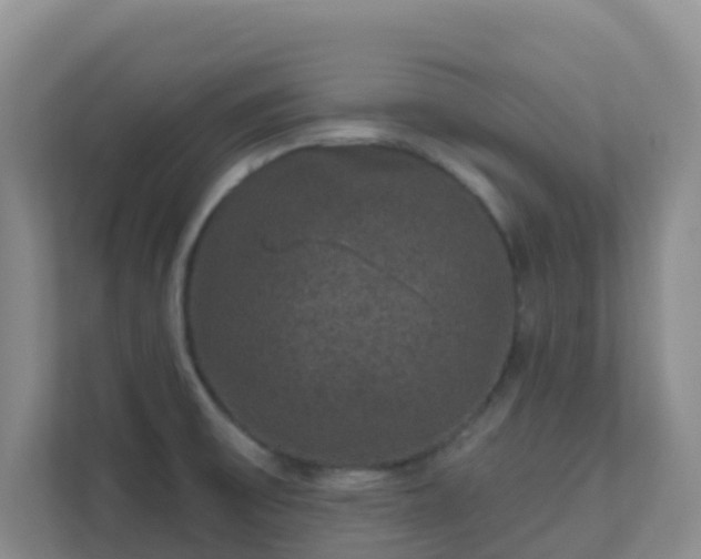 X0000111641475200907241100