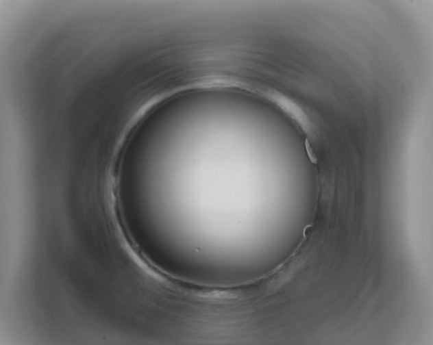 X0000111641476200907241100