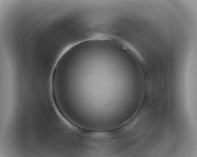 X0000111641479200907241100