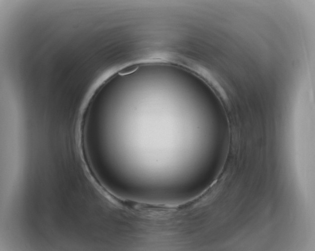 X0000111641480200907241100