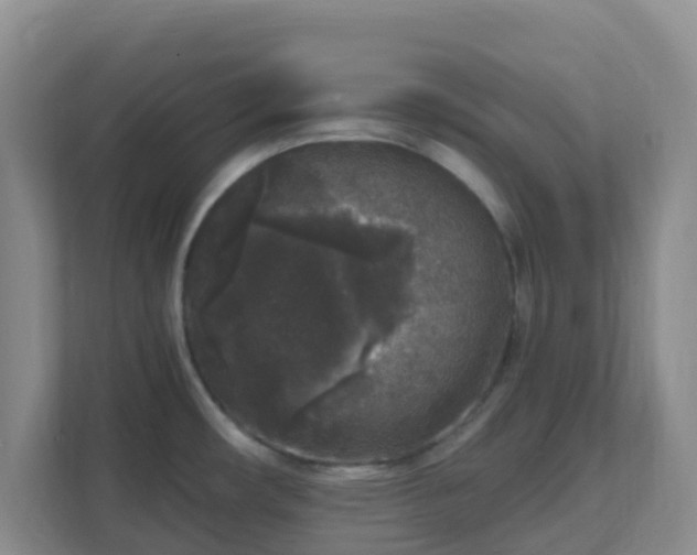 X0000111641482200907241100