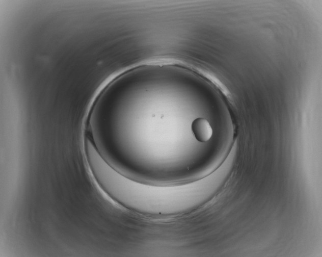 X0000111641484200907241100