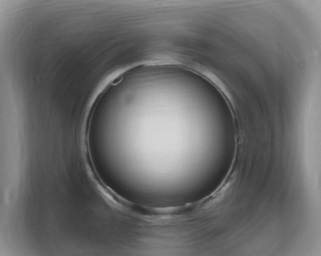 X0000111641485200907241100