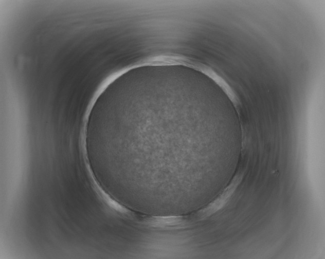 X0000111641486200907241100