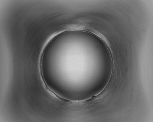 X0000111641488200907241100