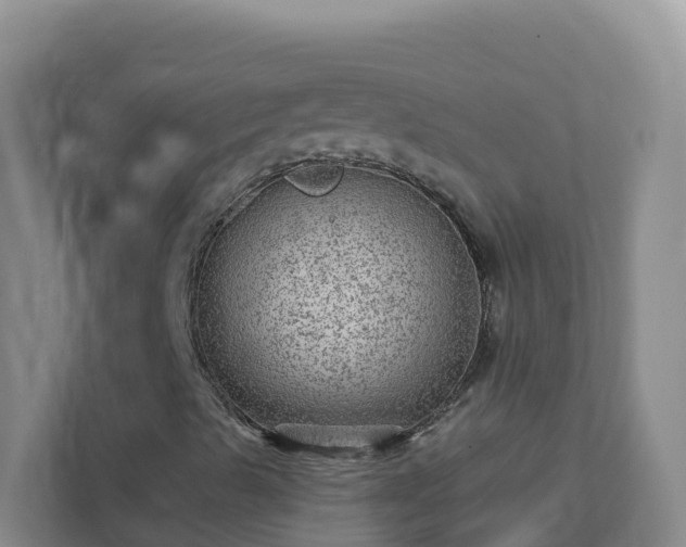 X0000111641489200907241100