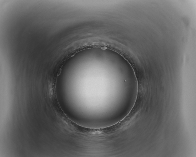 X0000111641490200907241100