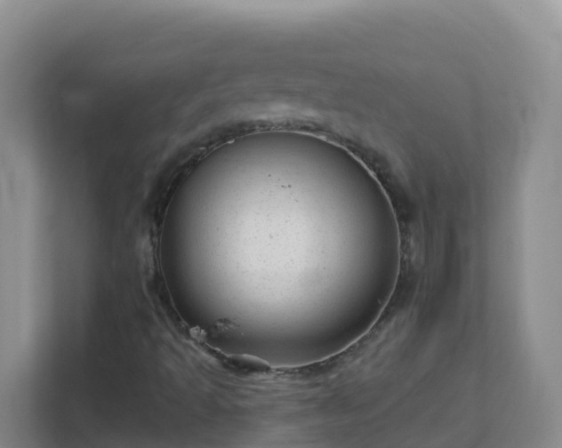 X0000111641493200907241100