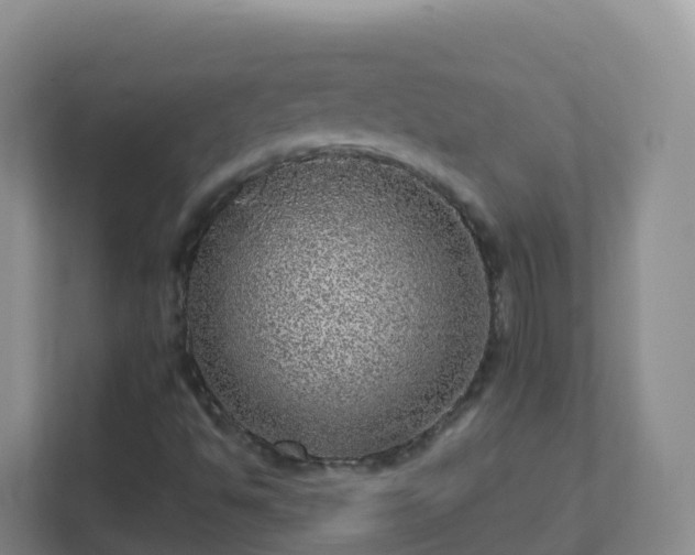 X0000111641494200907241100