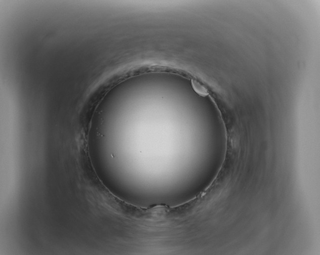 X0000111641495200907241100