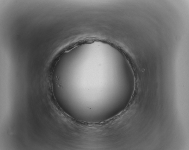 X0000111641496200907241100