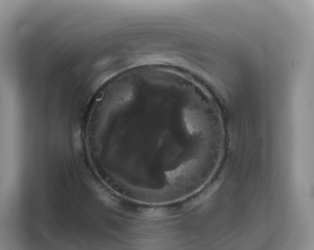 X0000111641497200907241100