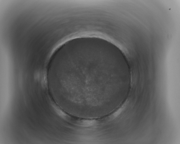 X0000111641498200907241100