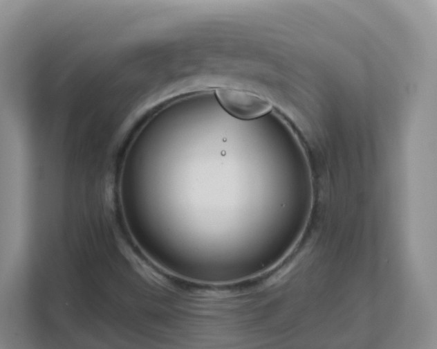 X0000111641499200907241100