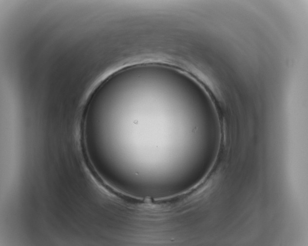 X0000111641500200907241100