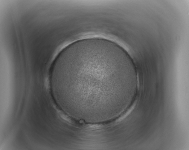 X0000111641501200907241100