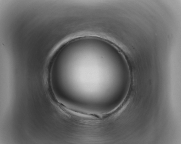 X0000111641502200907241100