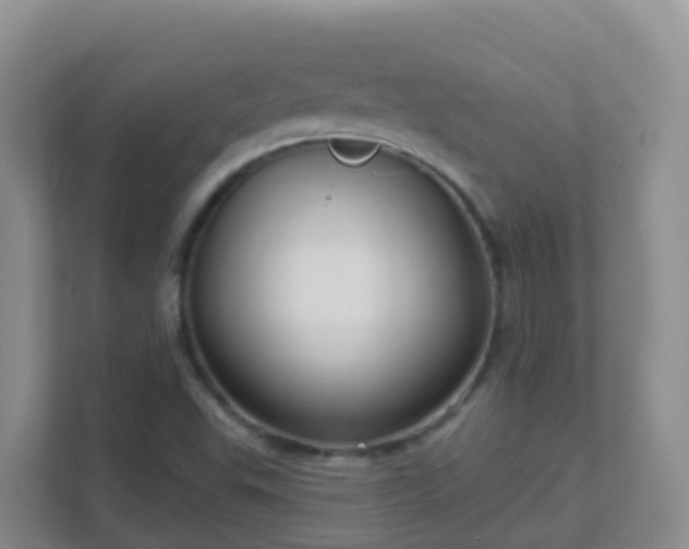 X0000111641503200907241100