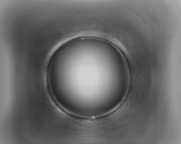 X0000111641504200907241100