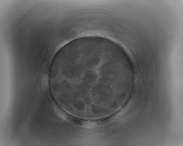 X0000111641505200907241100