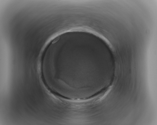 X0000111641506200907241100