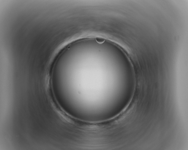 X0000111641507200907241100