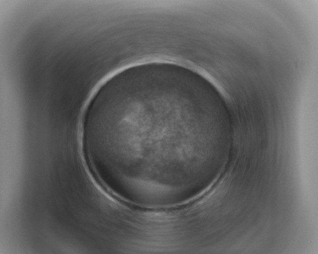 X0000111641508200907241100