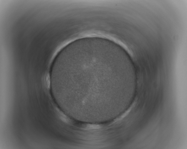 X0000111641509200907241100