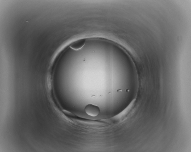 X0000111641510200907241100