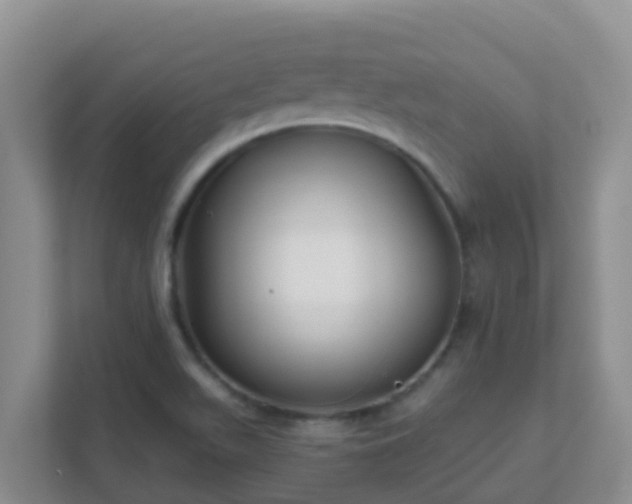 X0000111641511200907241100