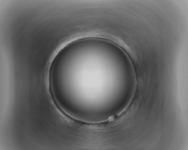 X0000111641512200907241100