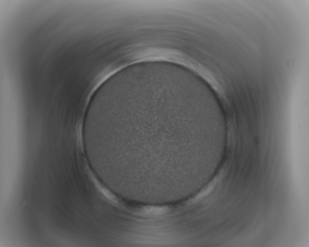 X0000111641513200907241100