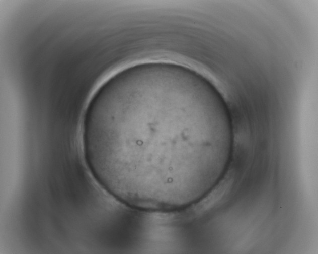 X0000111641514200907241100