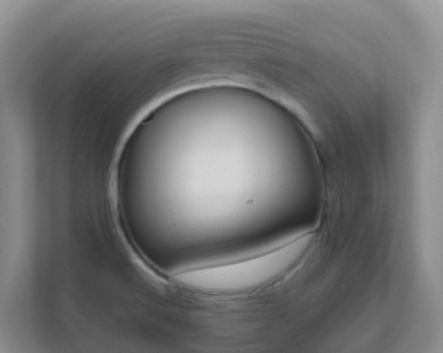 X0000111641516200907241100