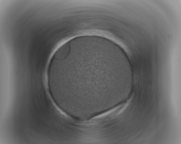 X0000111641517200907241100