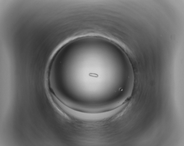 X0000111641518200907241100