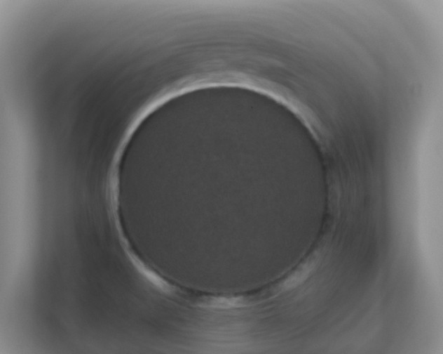 X0000111641519200907241100