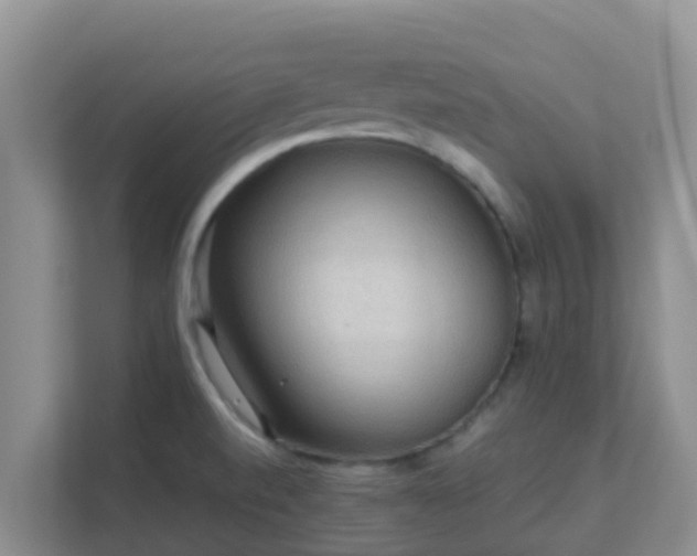 X0000111641520200907241100