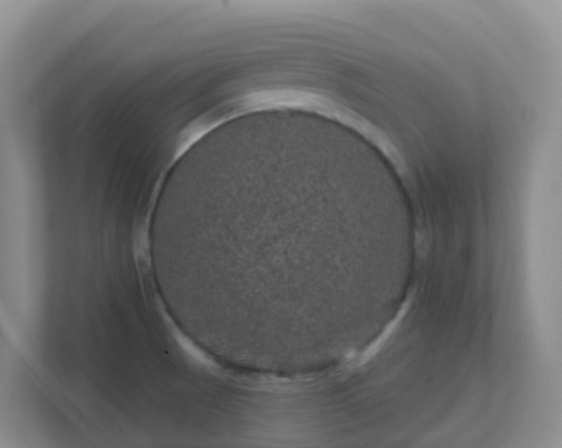 X0000111641521200907241100