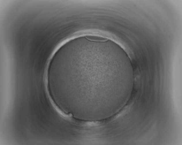 X0000111641523200907241100